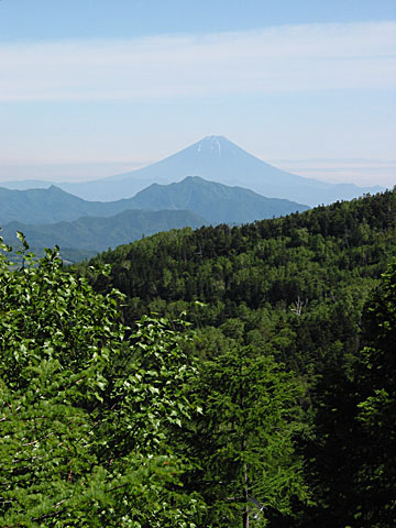 八ヶ岳高原にて